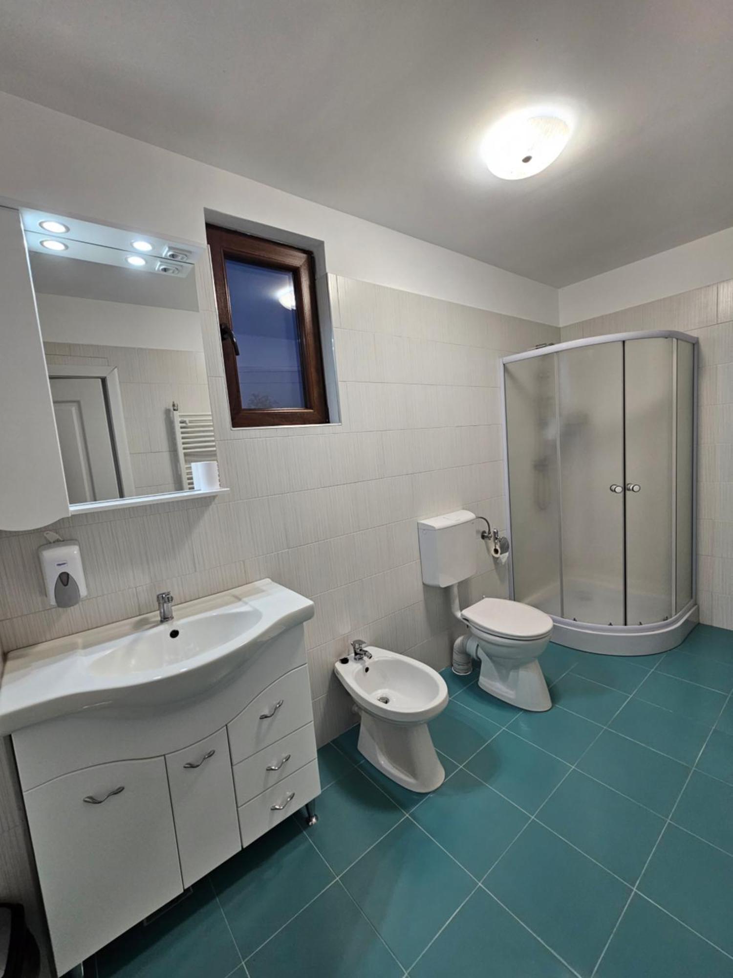 Colt De Rai Hîrtoape Quarto foto